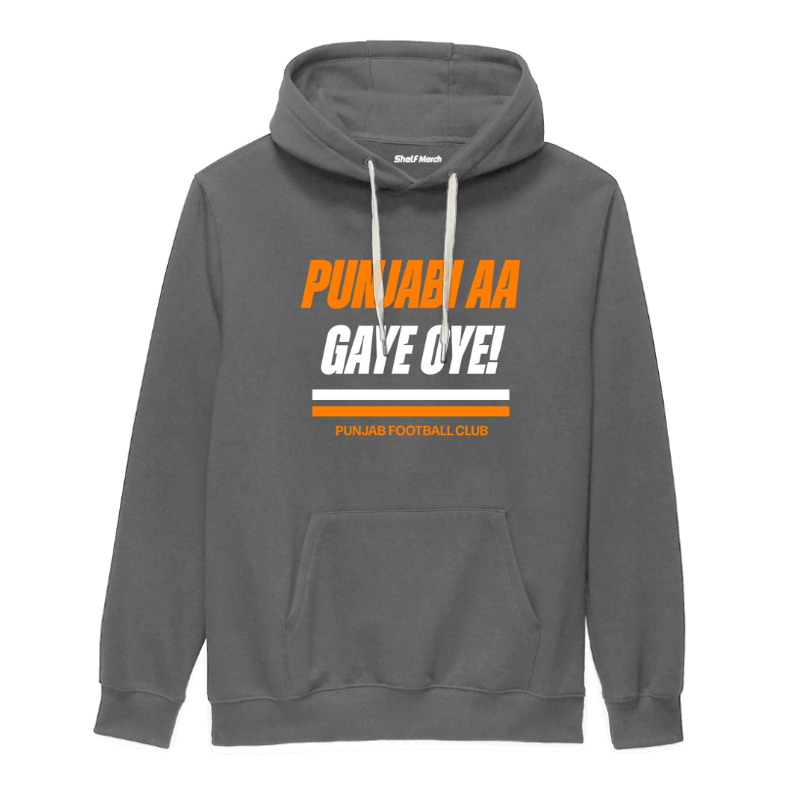 Punjabi Aa Gaye Oye! Hoodie